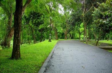 Jaga Kebersihan Mulai Dari Lingkungan Sekitar Kita